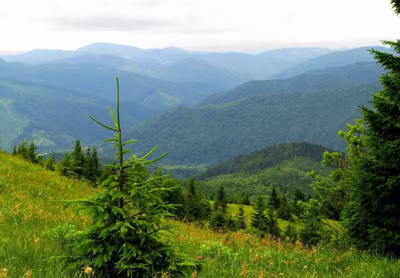 Сколевские Бескиды